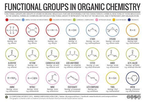 30 seconds. . Functional groups quizlet